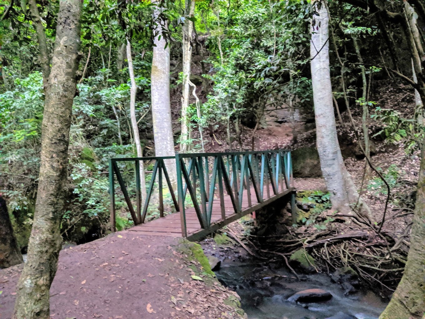 Karura Forest